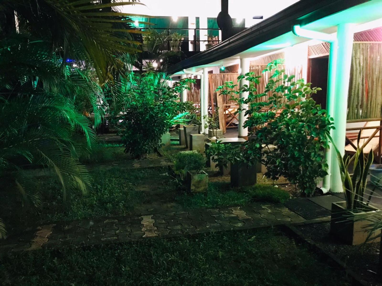 Lion Paradise Surf Beach Matara Ngoại thất bức ảnh