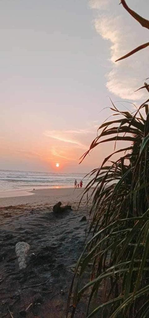 Lion Paradise Surf Beach Matara Ngoại thất bức ảnh