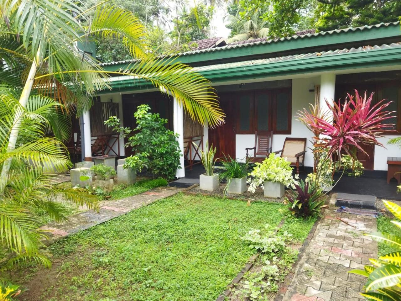 Lion Paradise Surf Beach Matara Ngoại thất bức ảnh