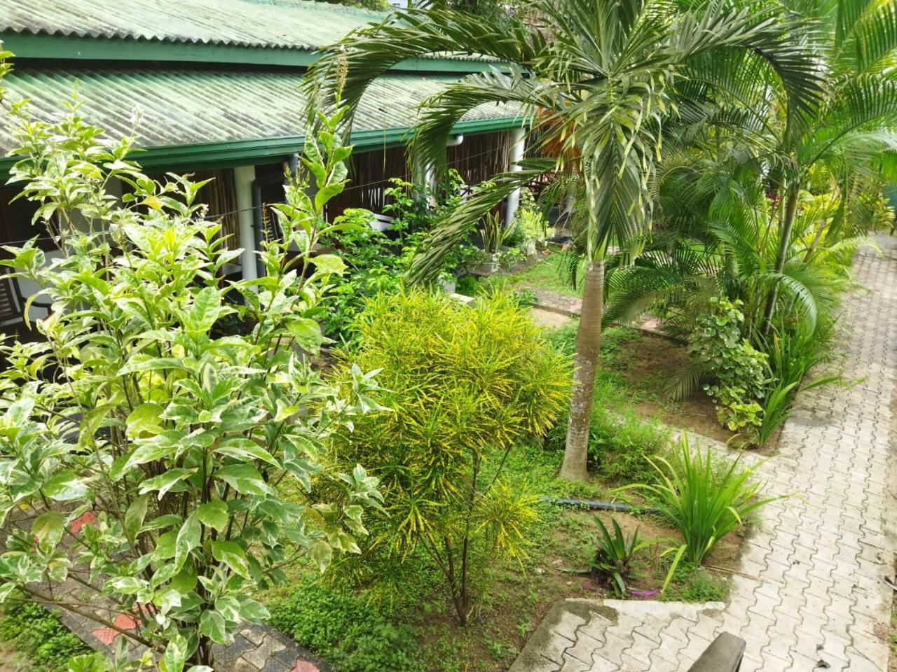 Lion Paradise Surf Beach Matara Ngoại thất bức ảnh